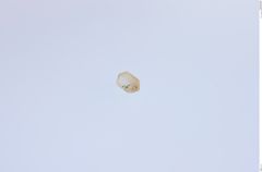 Foto von Diamant (NHMW-MIN-Ab2507)
